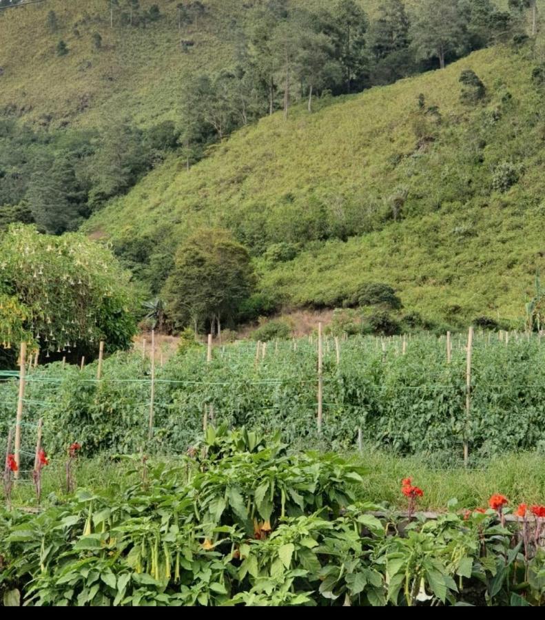 Villa Gunung Mas Berastagi Dış mekan fotoğraf